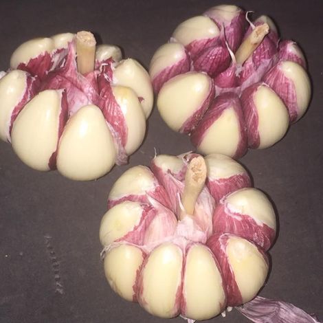 American Garlic Products S.A.