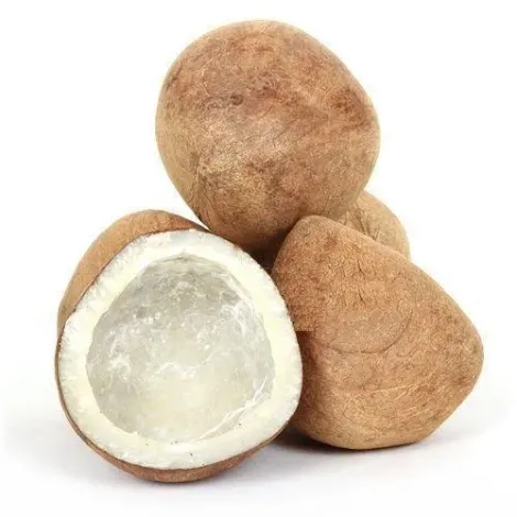 URT Exports - Coconut