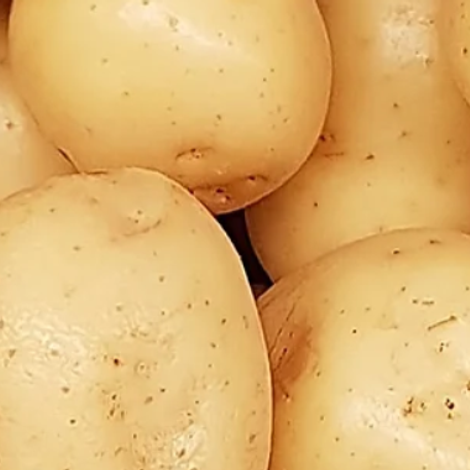 Produce Services Europe - Products