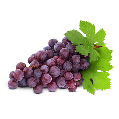 Tastyfrutti International Inc