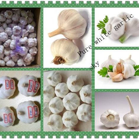 Linyi Changhong Imp. & Exp. Co., Ltd.