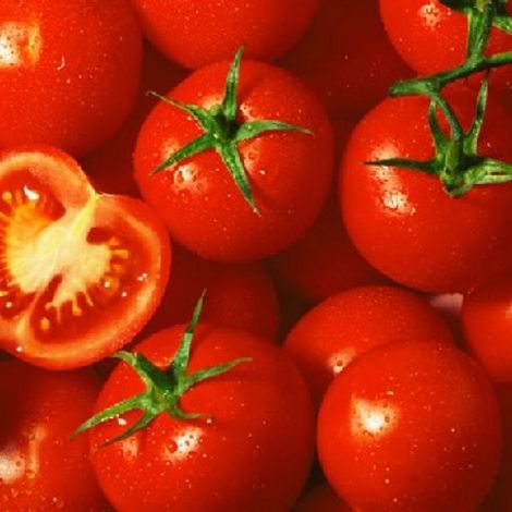 tomato-1.jpg