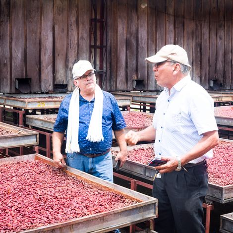 ASOCIACION NACIONAL CACAOTERA DE COLOMBIA