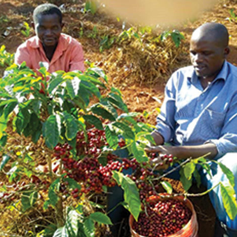 Farmers empowerment