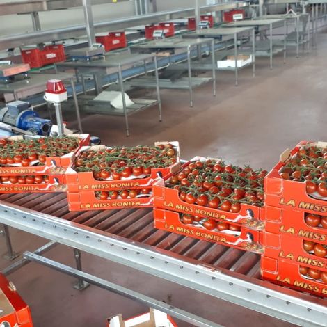 Production