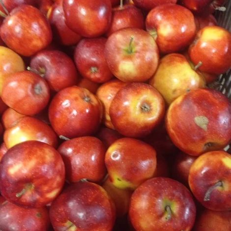 Ovocnářství Slaný - Moštárna