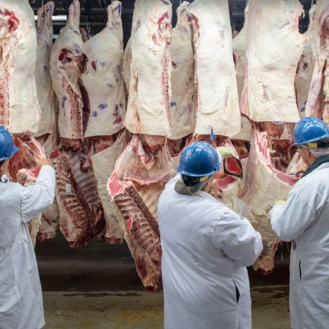 COTO-CENTRO-INTEGRAL-DE-COMERCIALIZACION-SOCIEDAD-ANONIMA-Argentine-Meat-Producer-HALAL-Meat-Producer.jpg