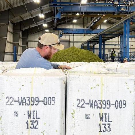 HOPS DIRECT, LLC