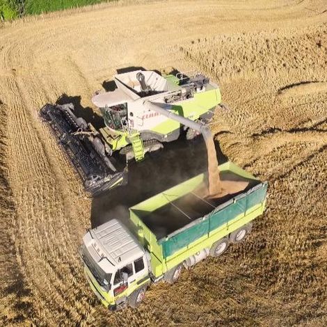 Harraways & Sons Limited - Harvesting