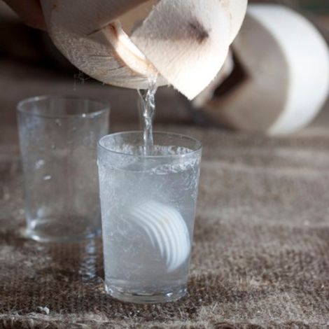NC COCONUT CO., LTD.