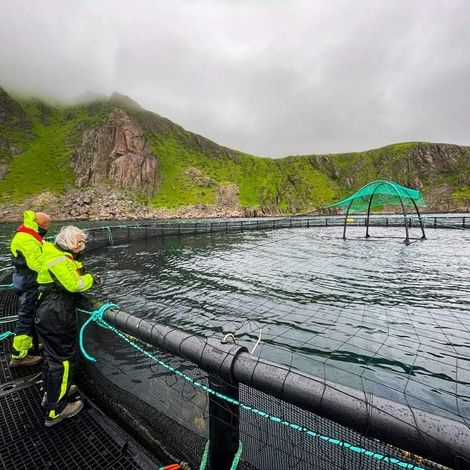 LOFOTEN FISH EXPORT AS - Farm