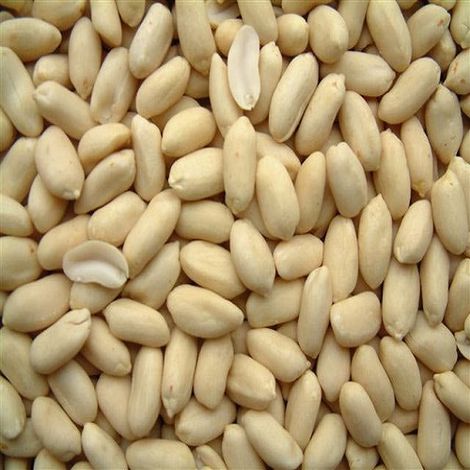BLANCHED JAVA PEANUTS