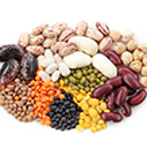 Premium Grains International - Products