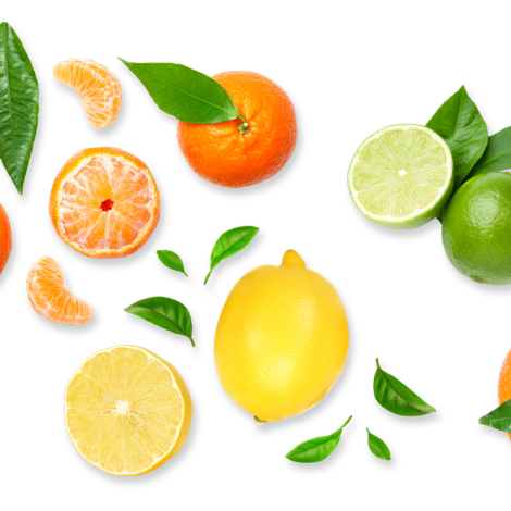 citrus-fruit-banner-e1647942348605.png