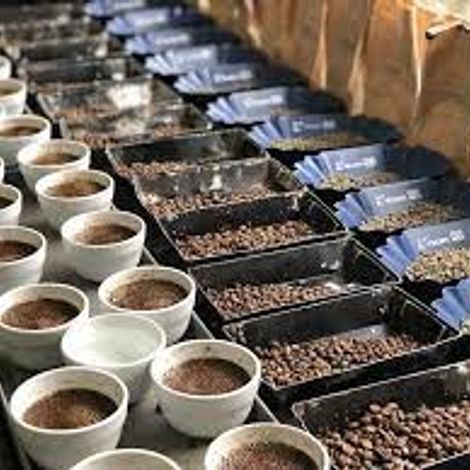 Africoff Trading Co. Ltd