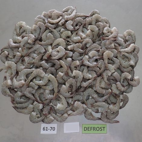 Vannamei Shrimp_HLSO_61/70_Block_Thaw_01