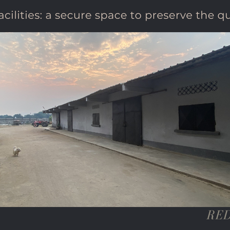 Our Facilities: A Guarantee of Quality and Professionalism