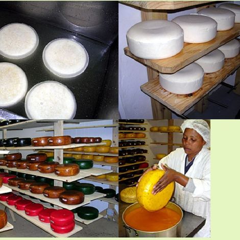 Cheesemaking