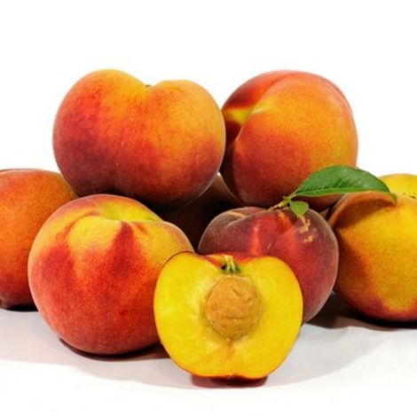 hortiquality19-420x356.jpg