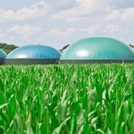 Diaser S.A. - Biogas