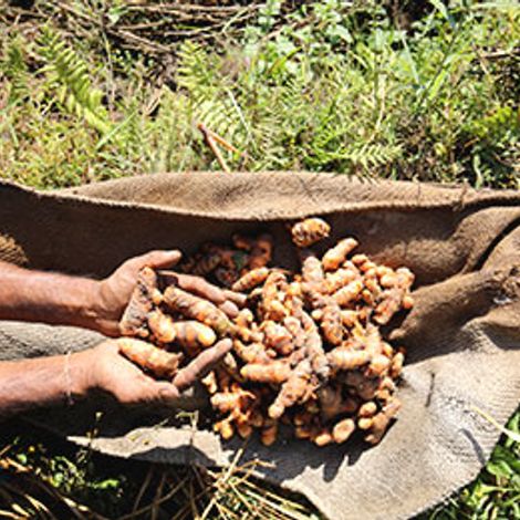 Aricha Trading Co Ltd