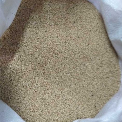 Whitish Humera Sesame