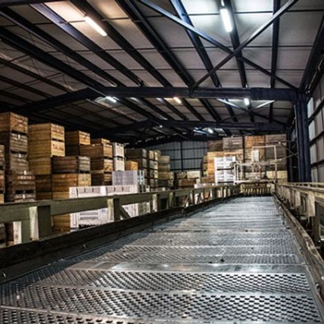 Onizzo Exportaciones Ltd. - Storage