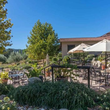 Wine Tours, Tasting, Revies & Events