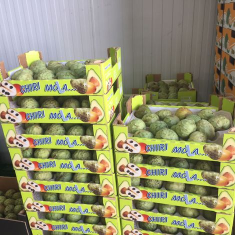 Natural Tropic_custard apple_carton boxes for private brand