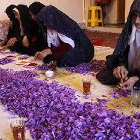 Roshan Saffron - Facility