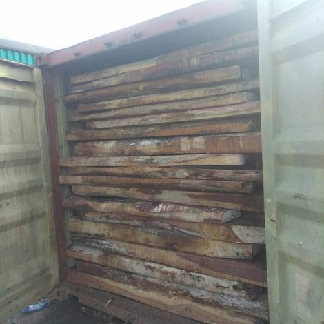 Timber Export