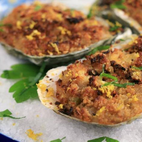 Hygrade Ocean Products Inc