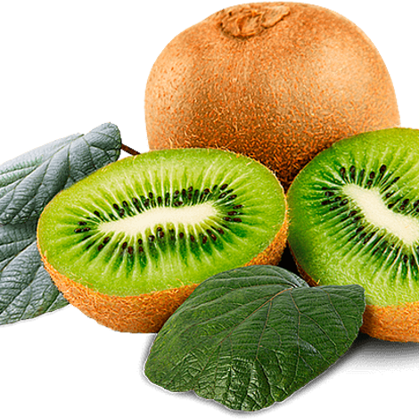 Kiwi