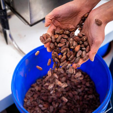 Vegan Chocolates By Luisa Ltd