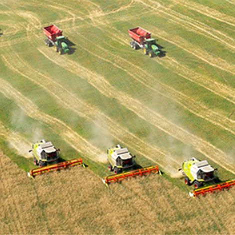 Harvest