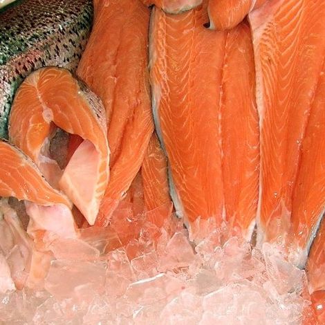 LEO FISH AS - Products