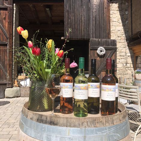 Winery Drescher - Wines