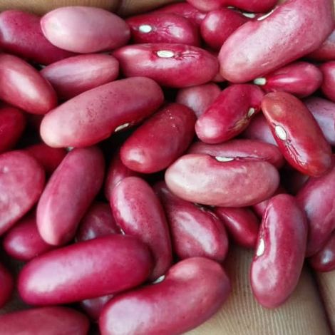 Red Kidney Beans (long)