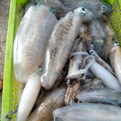 Phuc Gia Food Seafood
