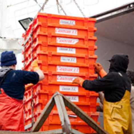 AM Seafoods 2004 Ltd - Production