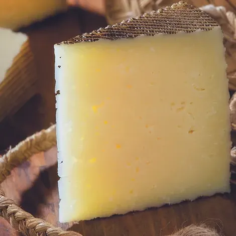 Cheese
