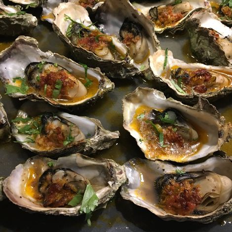 Black Shag Oysters