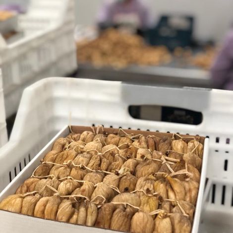 Dried Figs in baglama form