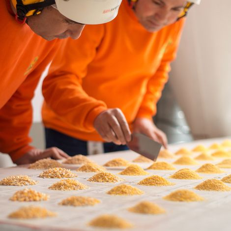 Semolina Azteca Milling