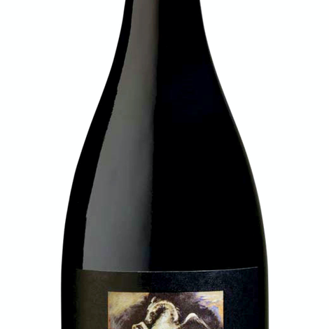 Clos Pegase_Pinot Noir, Mitsuko's Vineyard, Carneros_Red Wine