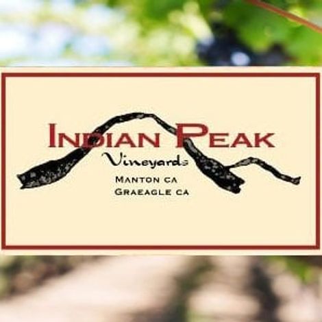 Indian-Peaks-logo-and-purple-grapes-on-the-vine.jpg
