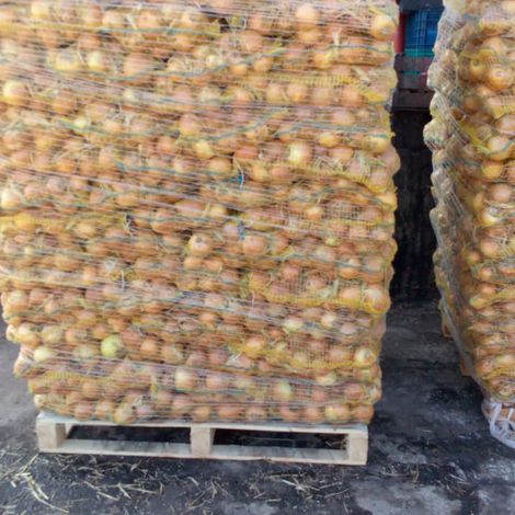 our onion production