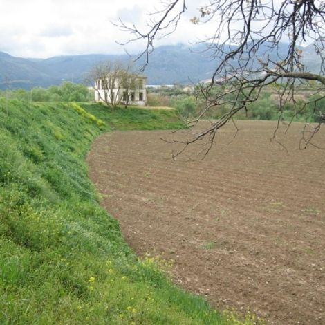 20090116133559-balate.vega.04-web.jpg