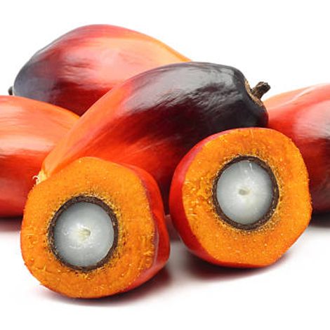 Palm Fruit
