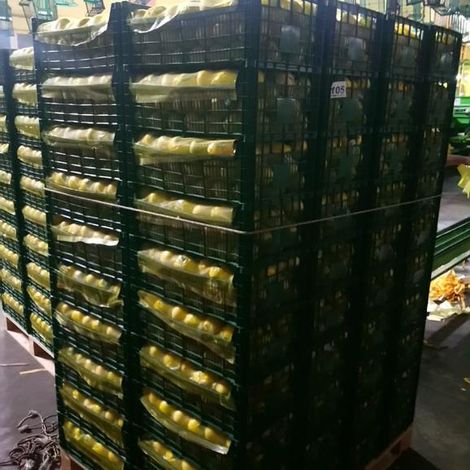 We supply Fresh lemons